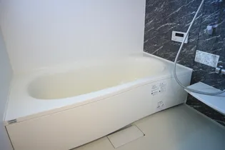 ブレジオぴあ【1階】の風呂