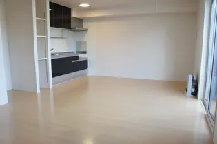 セジュール NANA【203号室】の居間