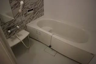 セジュール NANA【203号室】の風呂