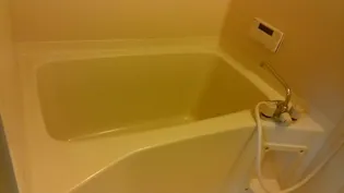 ラフィネ九【1階】の風呂