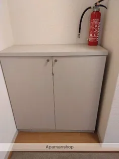 サイレントヒルズB【202号室】の内装