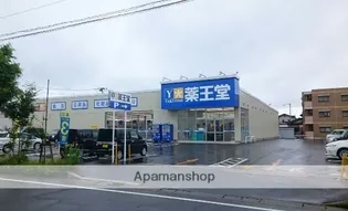 バリュージュ東通【1階】の周辺