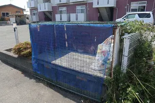 パルコートS【1階】の周辺