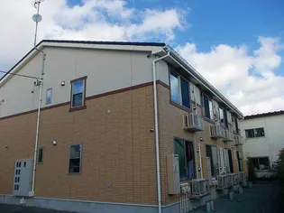 ソルディ ルーチェの画像