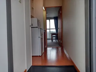 レオパレス陽陽【204号室】の玄関