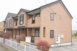 サチアルカテーの画像