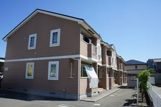 フェリチタKの画像