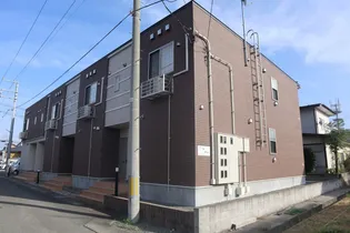 ハイグレイスの画像