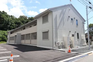 フローレスの画像