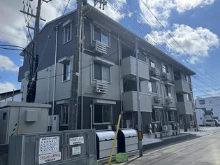 サンフラワーEの画像
