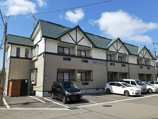 リオ シャインの画像