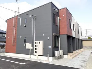 プラシードの画像