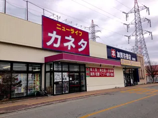 メゾンSKII【2階】の周辺