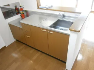 ロイヤルタウン広面 A【1階】のキッチン