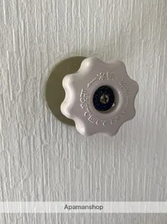 レジデンスこだま【203号室】の内装