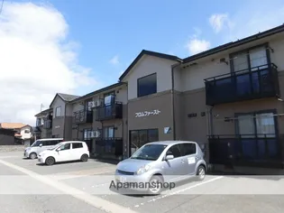 フロムファーストの画像