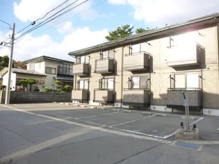 デイライト エヌの画像