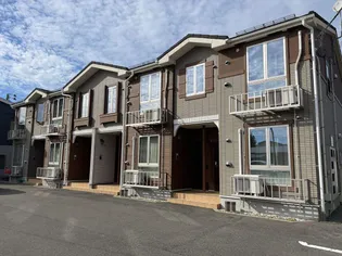 シンシアの画像