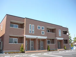 シーダー天王Bの画像