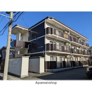 サウス エンジェルの画像