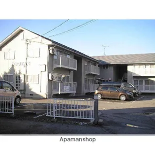 サン ワイルドの画像