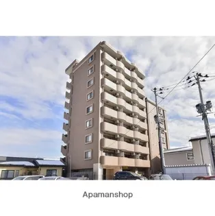 FOR YOU 木の実の画像