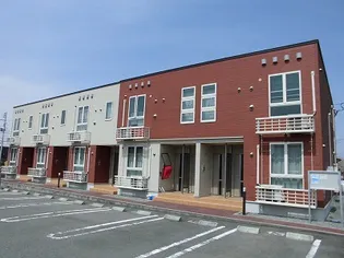 秋桜 2011 Bの画像