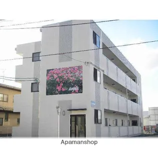 アンジェラの画像