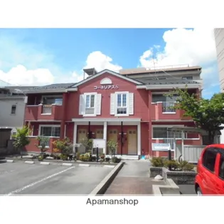 コーネリアスSの画像