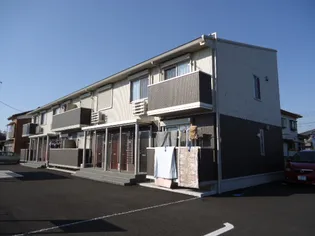 フェルトの画像