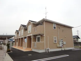 ニューパレドールの画像