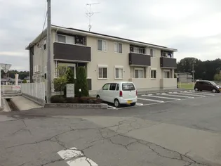 メイプル コートの画像