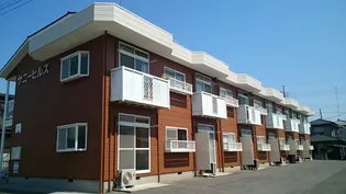 サニーヒルズの画像