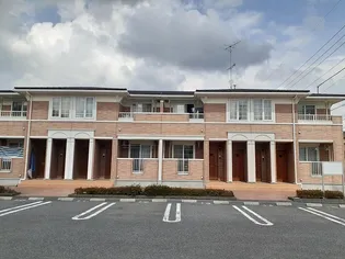 アニメート桜の画像