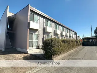 NOGIさくらの画像