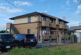 ファイン リートの画像