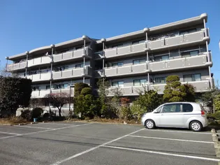 ウィルコートの画像