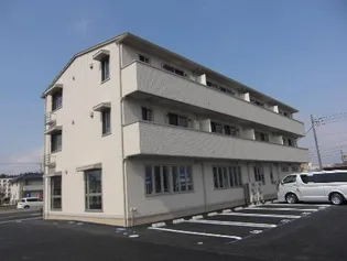 ピュアグレインの画像