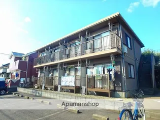 サンテ サクラの画像