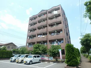 シュノンソーの画像