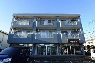 グリーンマンションの画像