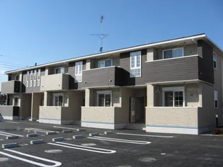 ルピナス グローの画像