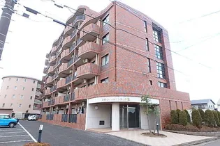 木村ロイヤルマンションⅢ【1階】の外観