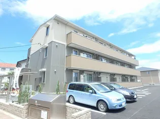 セレーナ並木の画像