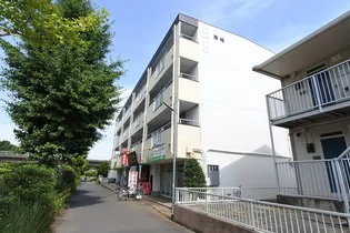 紫峰【3階】の外観
