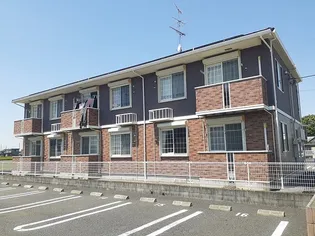 ソル レヴェンテの画像