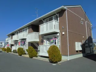 サニーウエルAの画像