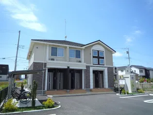 ダンデライオンの画像