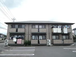 アムールの画像