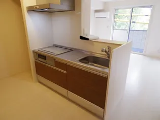 グランドゥールⅤ B棟【2階】のキッチン